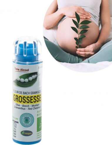 Complexe Grossesse Bio sans alcool – Granules Fleurs de Bach Kosmeo