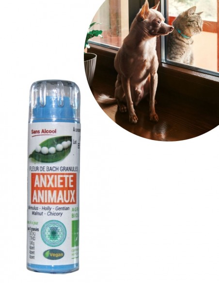 Complexe Anxiété Animaux Bio sans alcool – Granules Fleurs de Bach Kosmeo