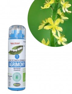 Fleur de Bach AGRIMONY n°1 (Aigremoine) – granules sans alcool Kosméo
