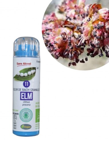 Fleur de Bach ELM n°11 (Orme) – granules sans alcool Kosméo
