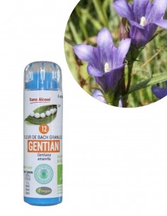 Fleur de Bach GENTIAN n°12 (Gentiane) – granules sans alcool Kosméo
