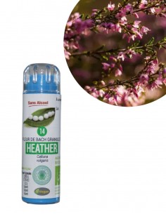 Fleur de Bach HEATHER n°14 (Bruyère) – granules sans alcool Kosméo