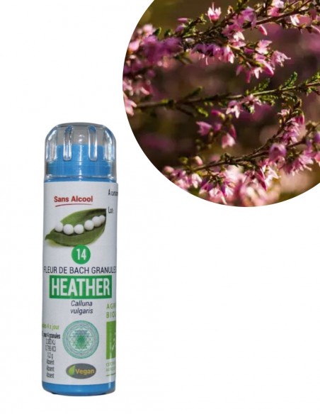 Fleur de Bach HEATHER n°14 (Bruyère) – granules sans alcool Kosméo