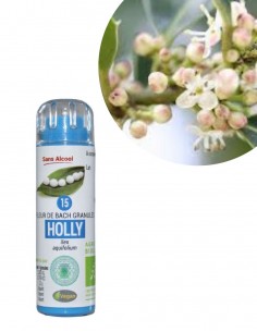 Fleur de Bach HOLLY n°15 (Houx) – granules sans alcool Kosméo