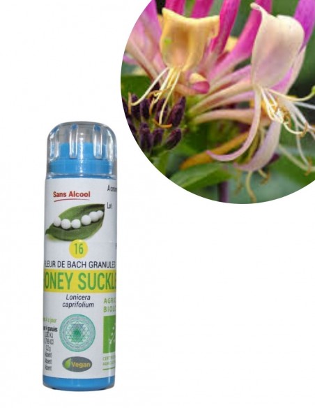 Fleur de Bach HONEYSUCKLE n°16 (Chèvrefeuille) – granules sans alcool Kosméo