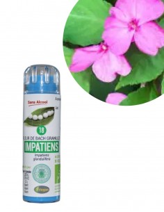 Fleur de Bach IMPATIENS n°18 (Impatiente) – granules sans alcool Kosméo