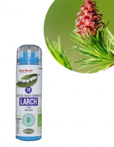Fleur de Bach LARCH n°19 (Mélèze) – granules sans alcool Kosméo