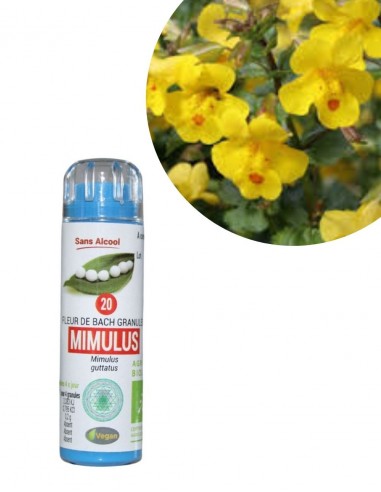 Fleur de Bach MIMULUS n°20 (Mimule) – granules sans alcool Kosméo