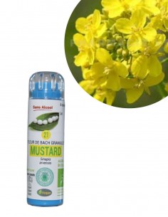 Fleur de Bach MUSTARD n°21 (Moutarde) – granules sans alcool Kosméo