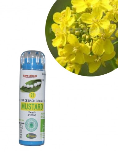 Fleur de Bach MUSTARD n°21 (Moutarde) – granules sans alcool Kosméo