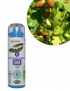 Fleur de Bach OAK n°22 (Chêne) – granules sans alcool Kosméo