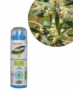 Fleur de Bach OLIVE n°23 (Olivier) – granules sans alcool Kosméo