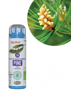 Fleur de Bach PINE n°24 (Pin sylvestre) – granules sans alcool Kosméo