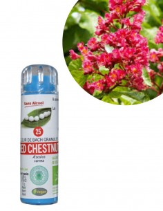Fleur de Bach RED CHESTNUT n°25 (Marronnier rouge) – granules sans alcool Kosméo