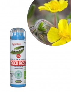 Fleur de Bach ROCK ROSE n°26 (Hélianthème) – granules sans alcool Kosméo