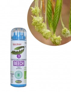 Fleur de Bach BEECH n°3 (Hêtre) – granules sans alcool Kosméo