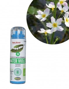 Fleur de Bach WATER VIOLET n°34 (Violette d’eau) – granules sans alcool Kosméo