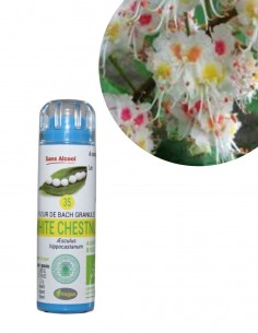 Fleur de Bach WHITE CHESTNUT n°35 (Marronnier blanc) – granules sans alcool Kosméo
