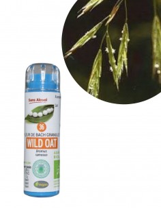 Fleur de Bach WILD OAT n°36 (Avoine sauvage) – granules sans alcool Kosméo