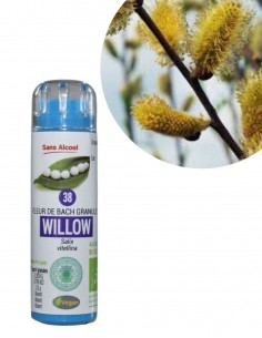 Fleur de Bach WILLOW n°38 (Saule) – granules sans alcool Kosméo