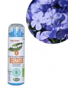 Fleur de Bach CERATO n°5 (Plumbago) – granules sans alcool Kosméo