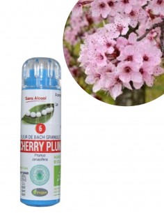 Fleur de Bach CHERRY PLUM n°6 (Prunus) – granules sans alcool Kosméo