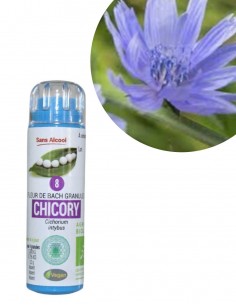 Fleur de Bach CHICORY n°8 (Chicorée) – granules sans alcool Kosméo