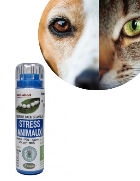 Complexe Stress Animaux Bio sans alcool – Granules Fleurs de Bach Kosmeo