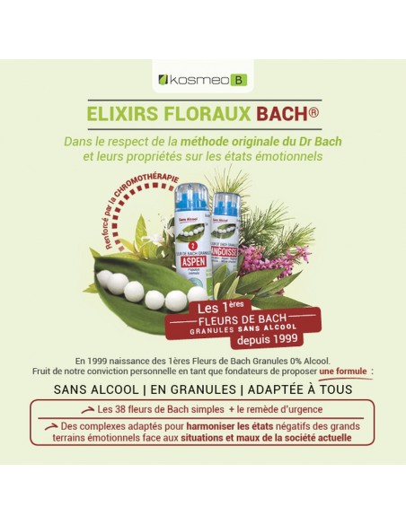 Fleurs de Bach utilisées dans le complexe Timidité – soutien naturel pour l’assurance et l’ouverture à l’autre