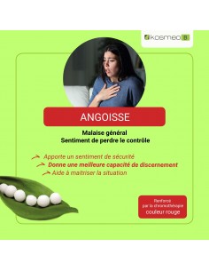 Complexe Angoisse Bio sans alcool – Granules Fleurs de Bach Kosmeo 2