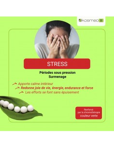 Complexe Stress Bio sans alcool – Granules Fleurs de Bach Kosmeo 2