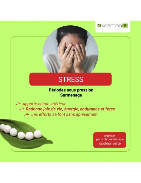 Fleurs de Bach Complexe Stress – Aide à gérer le stress et les tensions quotidiennes