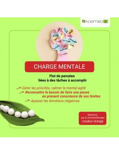 Complexe Charge Mentale Bio sans alcool – Granules Fleurs de Bach Kosmeo 2