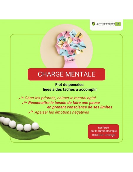 Fleurs de Bach Complexe Charge Mentale – Aide à alléger la surcharge émotionnelle et mentale