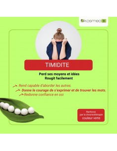 Complexe Timidité Bio sans alcool – Granules Fleurs de Bach Kosmeo 2