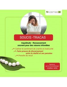 Complexe Soucis Tracas Bio sans alcool – Granules Fleurs de Bach Kosmeo 2