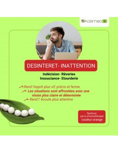 Complexe Inattention Désintérêt Bio sans alcool – Granules Fleurs de Bach Kosmeo 2