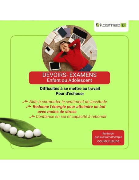 Fleurs de Bach Complexe Devoirs Examens – Aide à renforcer la concentration et gérer le stress scolaire