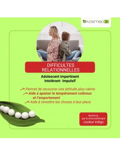 Complexe Difficultés Relationnelles Bio sans alcool – Granules Fleurs de Bach Kosmeo 2