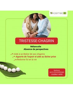 Complexe Tristesse Bio sans alcool – Granules Fleurs de Bach Kosmeo 2
