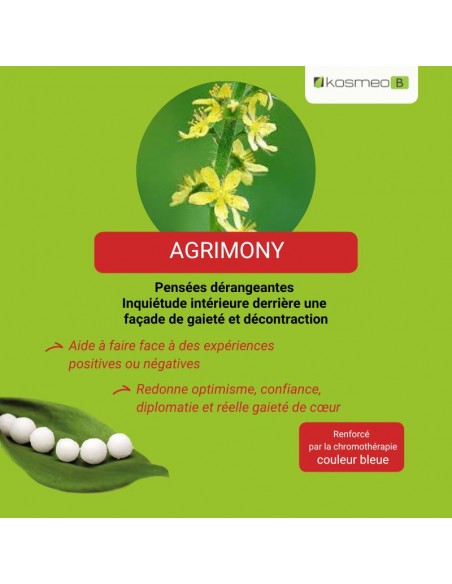 Fleur de Bach AGRIMONY – pour ceux qui cachent leurs troubles derrière un masque de gaieté