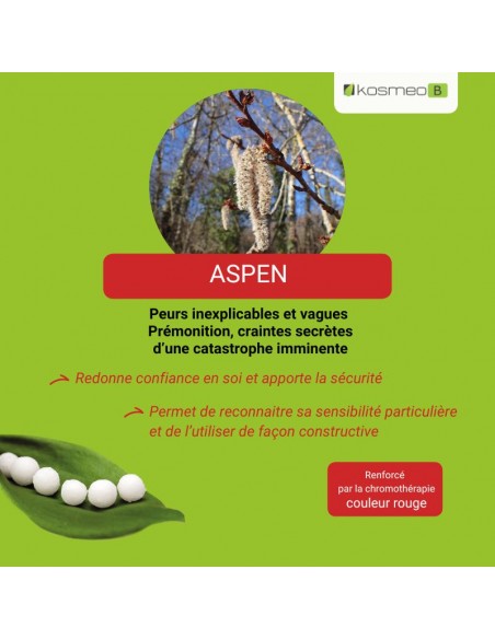 Fleur de Bach ASPEN – pour les peurs vagues et les appréhensions inexpliquées