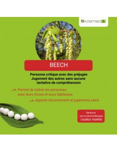 Fleur de Bach BEECH n°3 (Hêtre) – granules sans alcool Kosméo 2