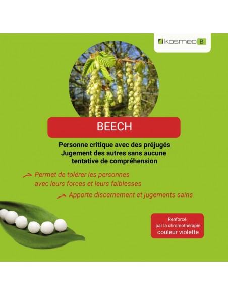 Fleur de Bach BEECH – pour les personnes critiques et intolérantes envers les autres