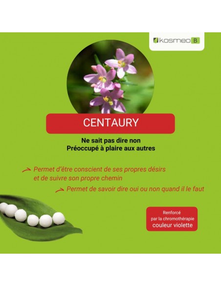 Fleur de Bach CENTAURY – pour ceux qui n’osent pas dire non et se laissent dominer