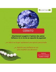 Fleur de Bach CERATO n°5 (Plumbago) – granules sans alcool Kosméo 2