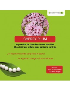 Fleur de Bach CHERRY PLUM n°6 (Prunus) – granules sans alcool Kosméo 2