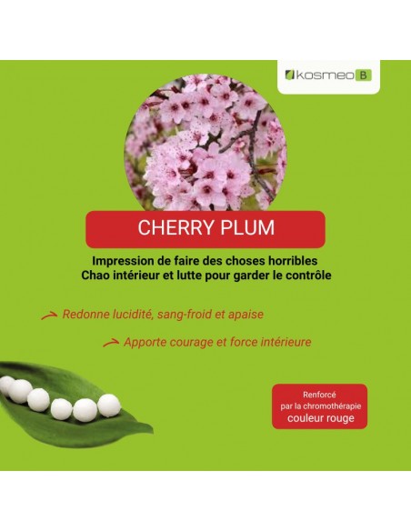 Fleur de Bach CHERRY PLUM – pour ceux qui craignent de perdre le contrôle d’eux-mêmes