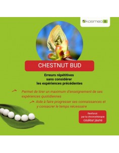 Fleur de Bach CHESTNUT BUD n°7 (Bourgeon de marronnier) – granules sans alcool Kosméo 2