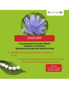 Fleur de Bach CHICORY n°8 (Chicorée) – granules sans alcool Kosméo 2